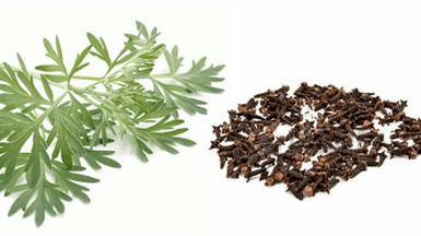 Chiodi di garofano e wormwood per eliminare i parassiti dal corpo