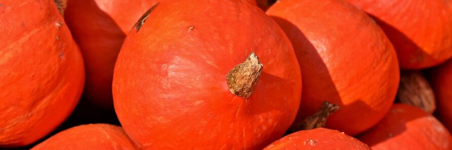 zucca contro i vermi